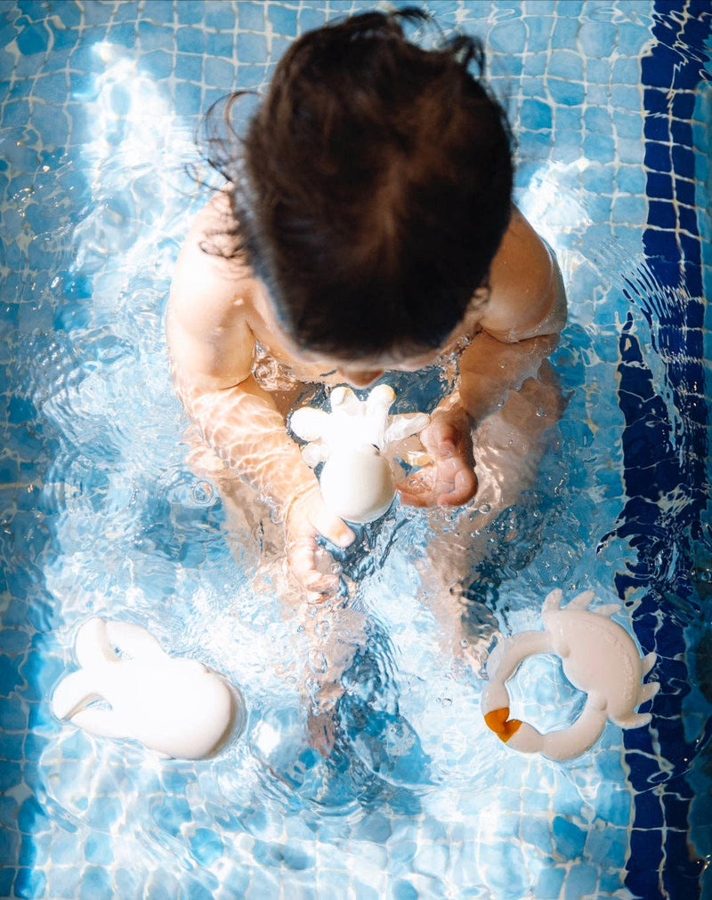 orlando the octopus bath toy