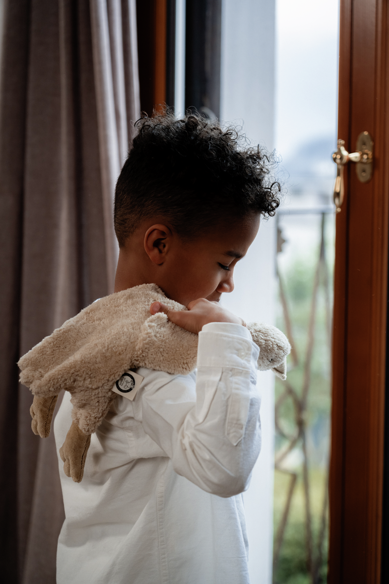 cuddly animal goose small / linen