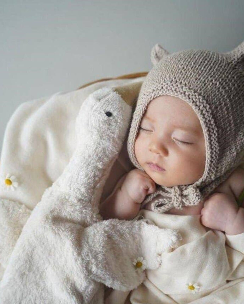 Newborn baby sleeping in a basket wearing a knitted animal hat with a soft blanket and flowers.