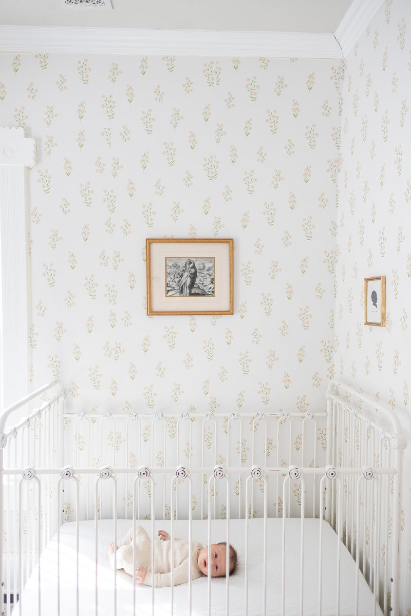 fitted crib/toddler sheet