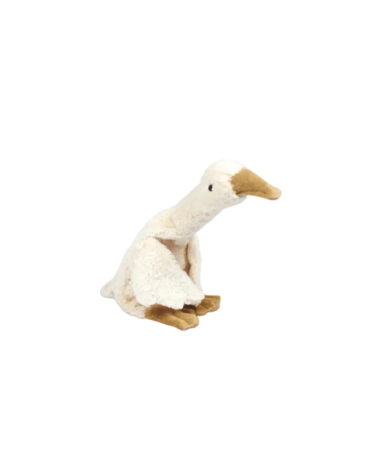Plush toy penguin on a white background