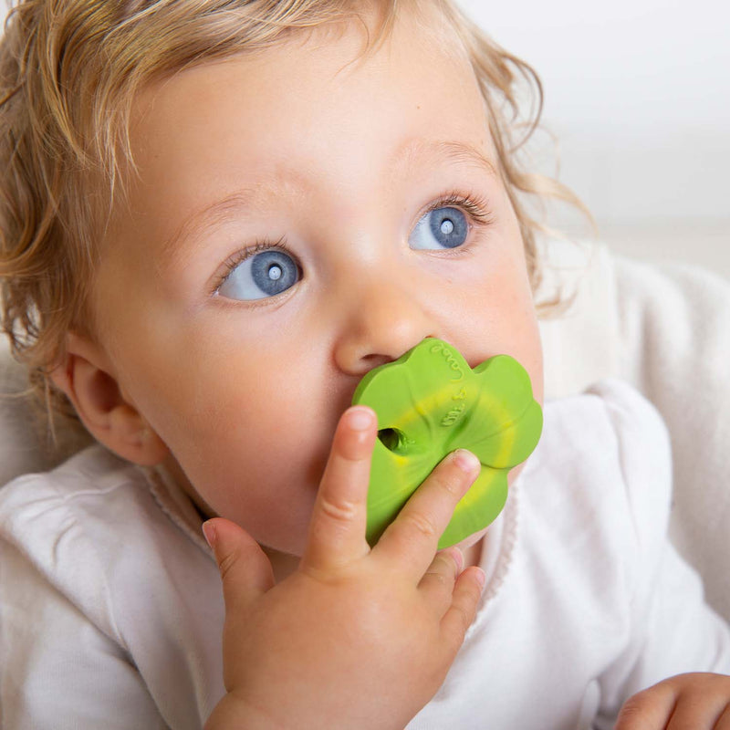 eli the colver mini baby teether